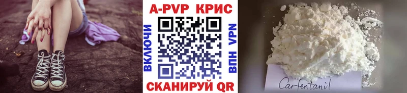A PVP СК Балашиха