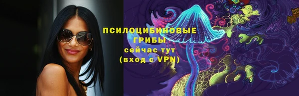 гидра Козельск