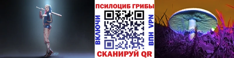 Галлюциногенные грибы Psilocybe  Балашиха 