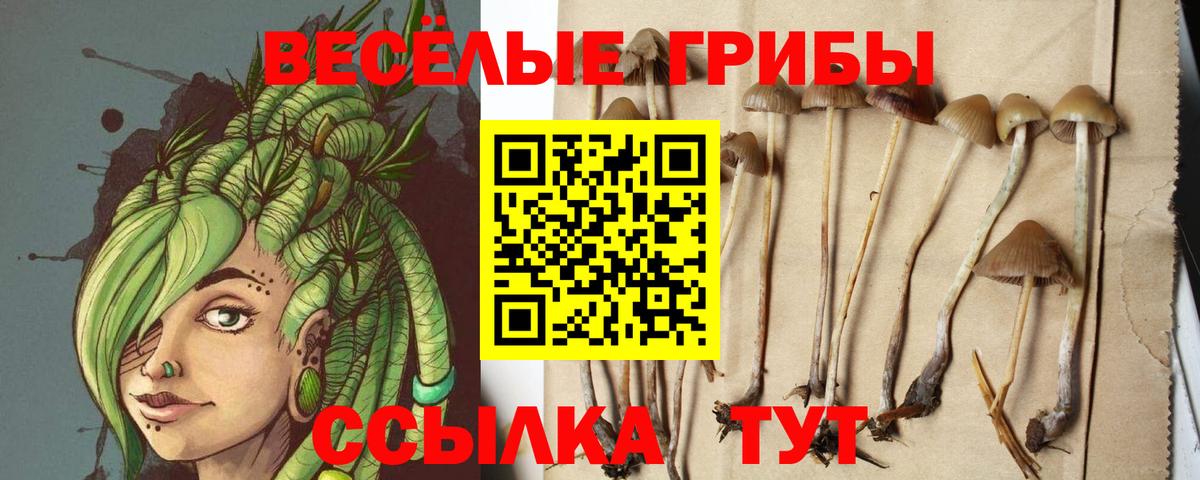 Балашиха  где найти   Вход с VPN  Галлюциногенные грибы Magic Shrooms 